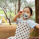 메타세콰이어 숲길이 멋진 영월 다그린(보보스캇) 캠핑장 후기