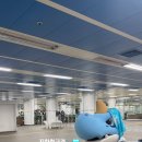 단디 이미지