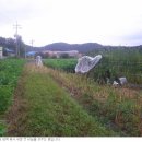 부곡농장2 이미지