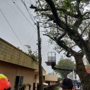 신효동-21 이미지