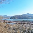 삼미농원 이미지