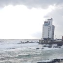 묵호항수변공원 이미지