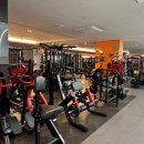 헬스대통령 대중사우나 | 홍대입구역 헬스장 스포짐 온탕 사우나까지 홍대 대표 피트니스