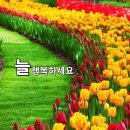 남해-163 이미지