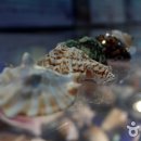 울산 해양박물관 이미지