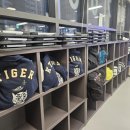 리틀K타이거즈 태권도장 | 케이타이거즈태권도 광명관