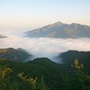 곡성-268 Daum카페