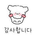 주식회사 국개대표 이미지