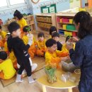 구성초교병설유치원 이미지