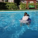 별따러가자2 | 강원 평창 풀빌라 펜션 별따러가자 B동 206호 탐방기