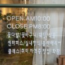 나우플라워 이미지