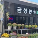 금성농원 이미지