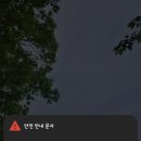 세븐일레븐 송파대성점 이미지