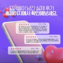 위니아서비스남인천점 | 러브버그 때문에 창문 못 열던 집의 방충망 교체기: JJ방충망 인천점
