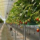 행정사최동열사무소 이미지