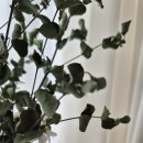 범일동 귀금속거리 2 이미지