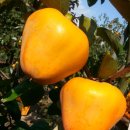 율이농장 이미지