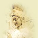 나무와 해(海) 이미지