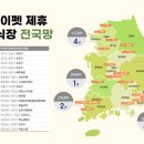 스카이펫