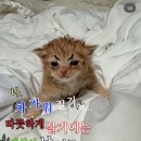 김성주갤러리 | 폭풍같은 세상속에 나를 버티게 해주는 건 !