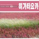 풍년짱뚱어
