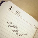 카페 써니힐 이미지