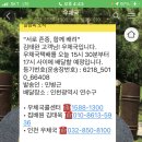 홍천 가래골 토지 임대 도지세 이미지