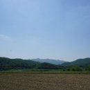 복탄횟집 이미지