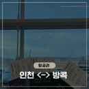 742 | 아시아나항공 방콕 후기 OZ741 OZ742 기내식 좌석 리뷰
