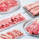 세계축산 이미지