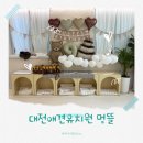 별새꽃유치원 | 대전 인동 애견호텔 대전애견유치원 개방형 24시 상주 예약 멍뜰 내돈내산 솔직후기