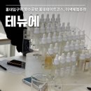 테뉴에