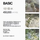 2702 | 웨딩로그 Ep.6 서울 밝은 홀 루이비스 강서 라이크 필름 본식 DVD 예약 후기 (짝꿍코드)