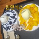 원앤식스커피 | 강진빙수맛집 원앤식스커피 강진 빙수 망고빙수 블루베리요거트빙수