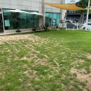 하비펫샵 이미지