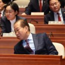 국민의힘 의원들은 김문수 당선을 위해 열심히 뛸까. ﻿ 이미지