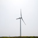 신창4 발전소 네이버블로그