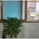 네e버공인중개사사무소 | 당진원룸 신뢰의 상징, 네e버공인중개사 사무소