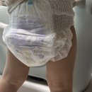 씽씽과일 | 모모래빗 에코씽씽 & 에코드라이썸머 후기｜여름낮밤기저귀 제대로 써본 리얼 리뷰