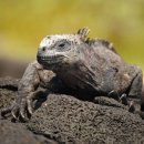 평화신선식품 이미지