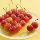 통통한과일 - 부산진구 새싹로 209 | 통통한과일