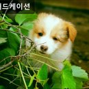 마루애드케이션