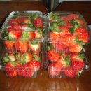 김태하 농장 이미지