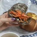 중앙로터리공영주차빌딩 | 서귀포 베이커리 [올리브브레드] / 빵수니 추천 건강한 서귀포 빵집 / 제주도 여행