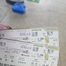 용지정류소 | 강릉에서 대관령양떼목장 뚜벅이 후기 가는법 / 시외버스 노선 시간 총정리