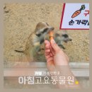 목원유치원 | 가평가볼만한곳 아침고요동물원 두돌아기와 방문후기