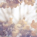 연서정형외과의원 이미지