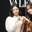 레이리즈