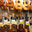 하와이 전통악기 우쿨렐레 이미지