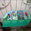 금강야채과일 | 26년 푸꾸옥-빈펄 사파리(2)